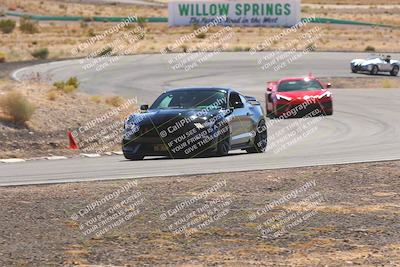 media/Oct-25-2025-West Coast Racing (Sat) [[9fdcbcd09c]]/Yellow group/Turn 4/